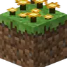 The Golden Forest