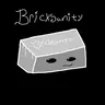 Bricksanity!