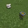 Honey, Where'd The Hamster Go