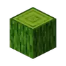 Mystical Wood