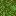 More Kelp