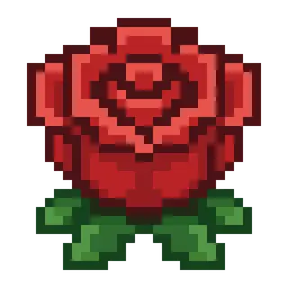 WindRose