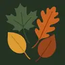 Leaves You'll Go