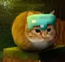 Pringles Can