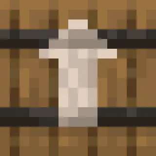 Barrel Cannon