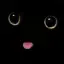 Kateroo