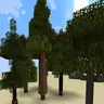 Dynamic Trees AFC