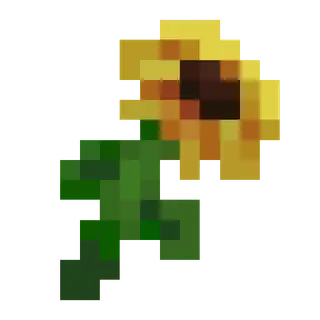 Wow Sunflowers!