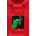 Eclectus Cosmetic