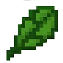 Spinach