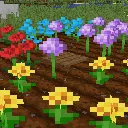 Farmland Flowers