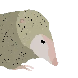 Tenreg