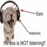 What Are They Listening To (WATLT)