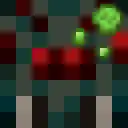 No Cave Spider Poison
