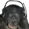 Ape Mod