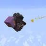 Elytra Backtank