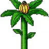 BananaPlant