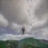 Flying Dogs