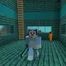 Bluey Biomes!!!