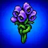 Breathtaking Aconitum