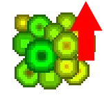 Bounty Enchantment