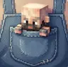 Pocket Gnomes