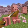 Music Pig