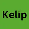 Kelip