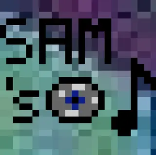 Sam's Music Discs