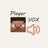 Player VOX