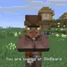 Villager Debug Names