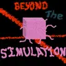 Beyond The Simulation