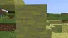Sponge Stone