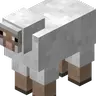 Dream Sheep