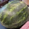 Melon Loader