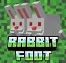 RabbitFoot