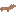 Brass Arms