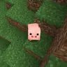 TinyInfo