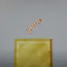 Tropical fish addon