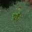 Tree Growing Simulator: Redux
