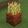 Rotten Flesh Farmland