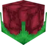 Phitive