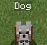 Starter Pat Name