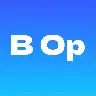 Basic Optimizer