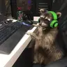 NWB Vanilla