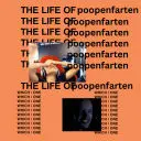 Poopenfarten