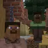 We Have Minecraft at Home