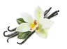 Not Really Vanilla? [Discontinued]