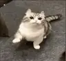 fabripty