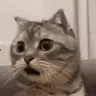 Whoa!